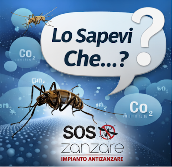 sos zanzare ferrara